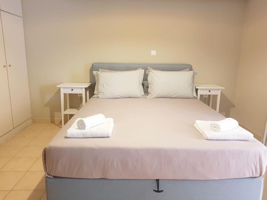 Athens Campus Renovated Studio Apartment @ Ilisia Exterior foto